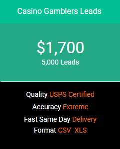 Casino Gamblers Leads