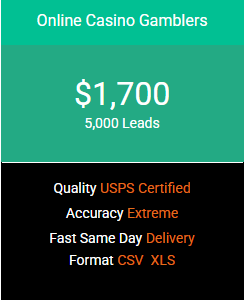 Online Casino Gamblers